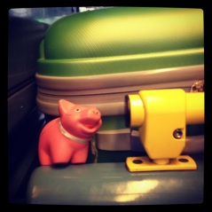 Mr Piggy ready for his holiday!!