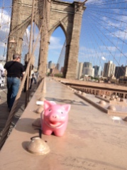 Mr Piggy enjoying Brookiyn Bridge - NYC May 2014