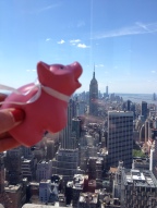 Mr Piggy on Top of the Rock - NYC May 2014