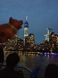 Manhattan Skyline by Night - NYC May 2014