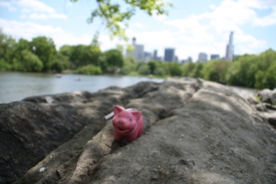 Mr Piggy in Central Park - NYC May 2014